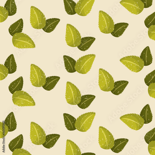 plant stevia natural sweetener icon vector illustration design graphic