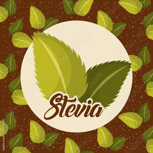Stevia natural sweetener icon vector illustration design graphic