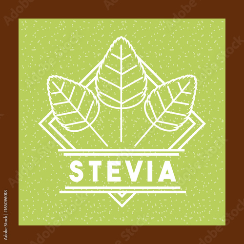 Stevia natural sweetener icon vector illustration design graphic