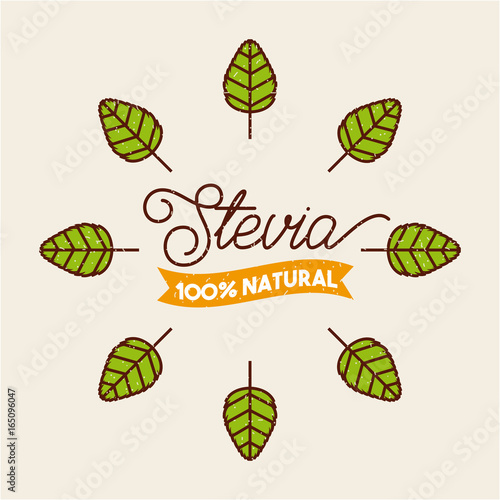 plant stevia natural sweetener icon vector illustration design graphic
