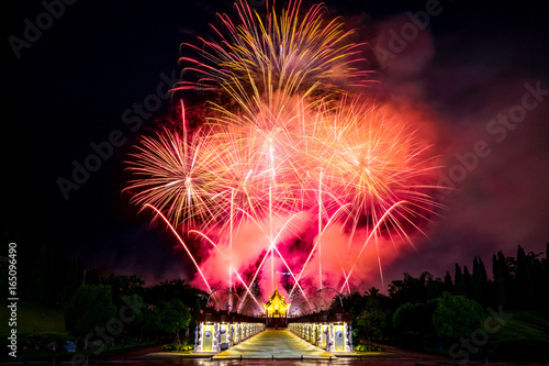 The Beautiful Firework at Royal Flora Ratchaphruek Chiangmai. Thailand, Selective focus on Firework.