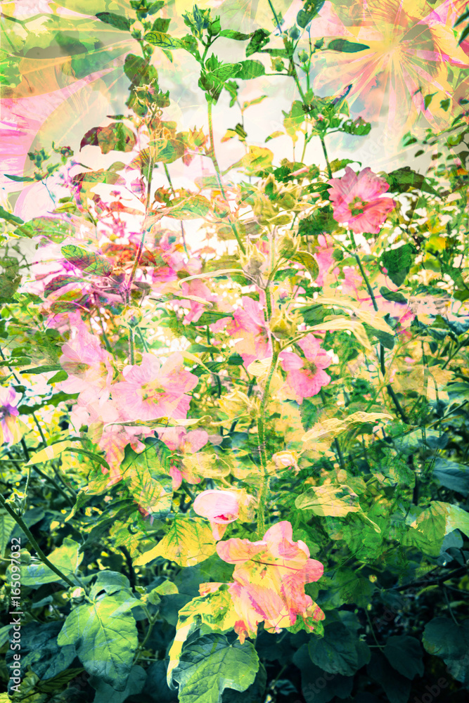 Beautiful, artistic, floral, Summer background Beautiful, artistic, floral, Summer background