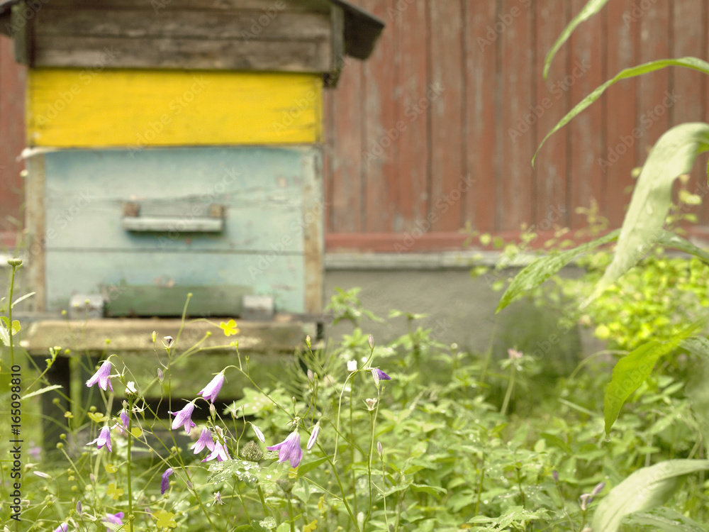 Harebells And Beehive Harebells And Beehive