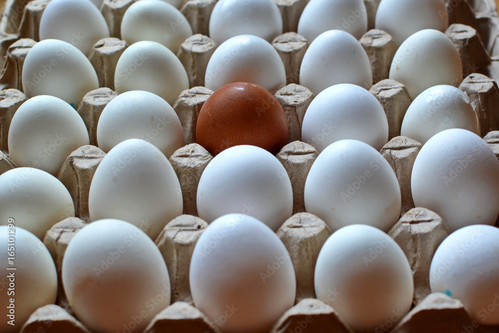 carton of white chicken eggs in neat rows with a single yellow egg in the center carton of white chicken eggs in neat rows with a single yellow egg in the center