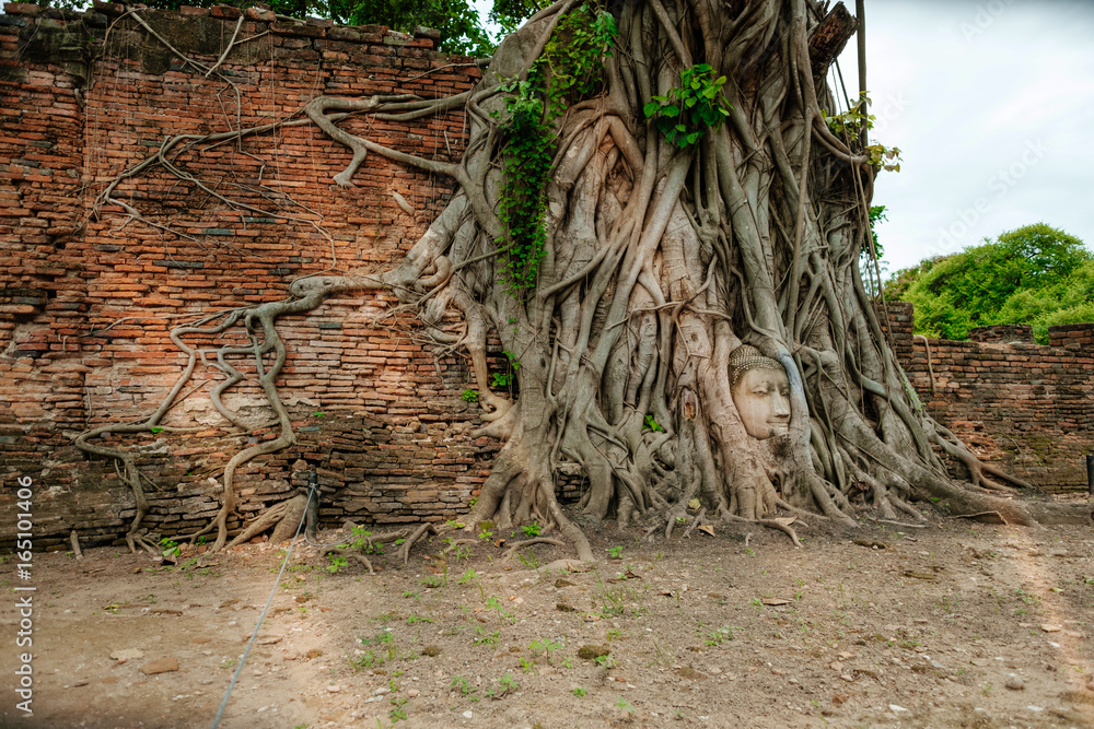 Ayutthaya Buddha Head statue with trapped in Bodhi Tree roots at Wat Maha That (Ayutthaya). Ayutthaya historical park ,Thailand Ayutthaya Buddha Head statue with trapped in Bodhi Tree roots at Wat Maha That (Ayutthaya). Ayutthaya historical park ,Thailand