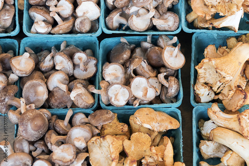 Fresh organic grown mushrooms on sale at a farmers market