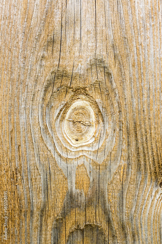 Texture wooden background