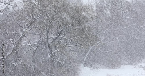 Snow falls during a cold winter blizzard photo