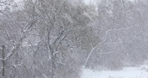 Snow falls during a cold winter blizzard