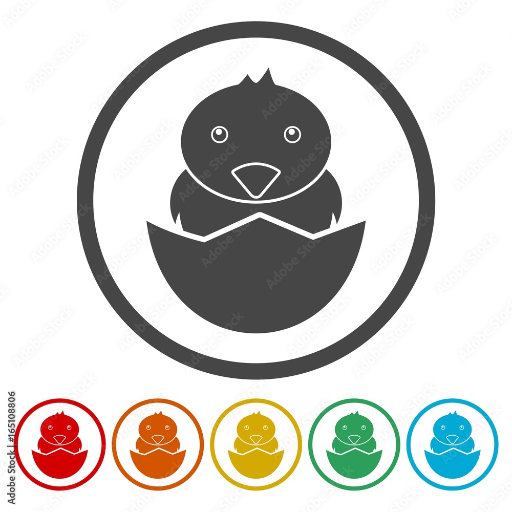 Chick hatched from an egg icons set - Illustration Chick hatched from an egg icons set - Illustration