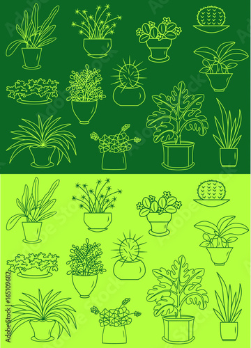Indoor plants vector icons set illustration sketch
