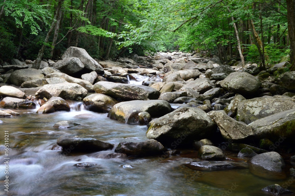 Stream running through the Great Smoky Mountains Stream running through the Great Smoky Mountains