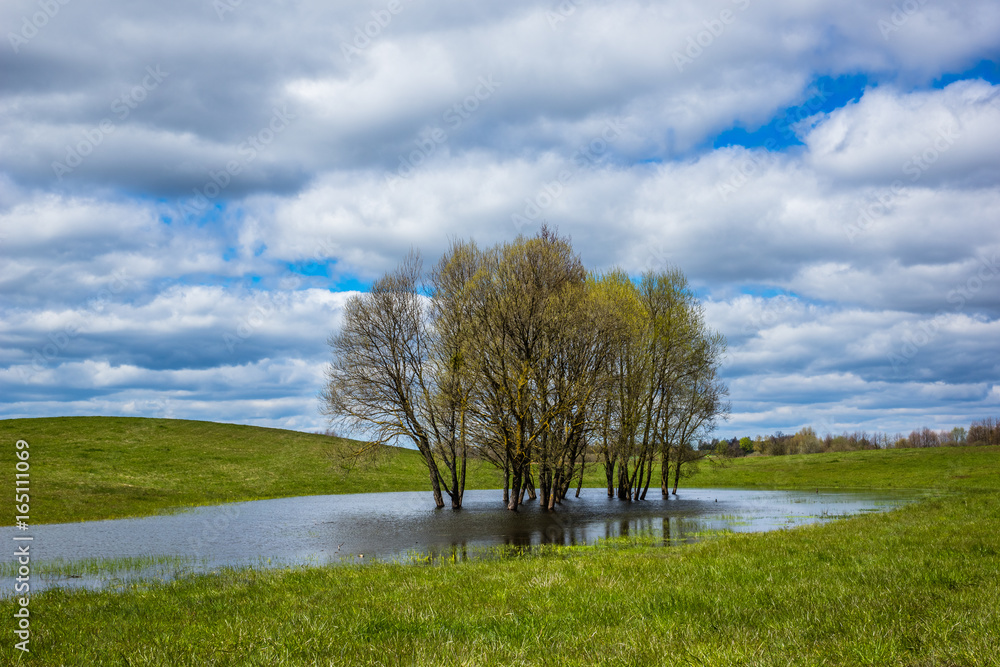 Spring view of the meadow, trees and clouds, Masuria, Poland