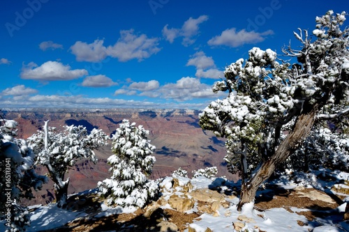 grand canyon