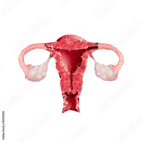 polygonal uterus