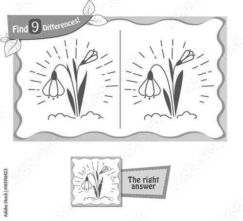 find 9 differences game snowdrop