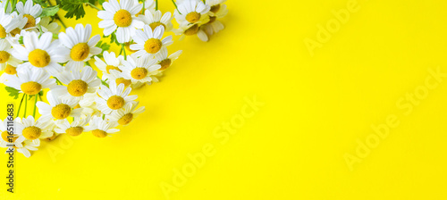 Fototapeta Naklejka Na Ścianę i Meble -  Chamomile flowers on yellow background