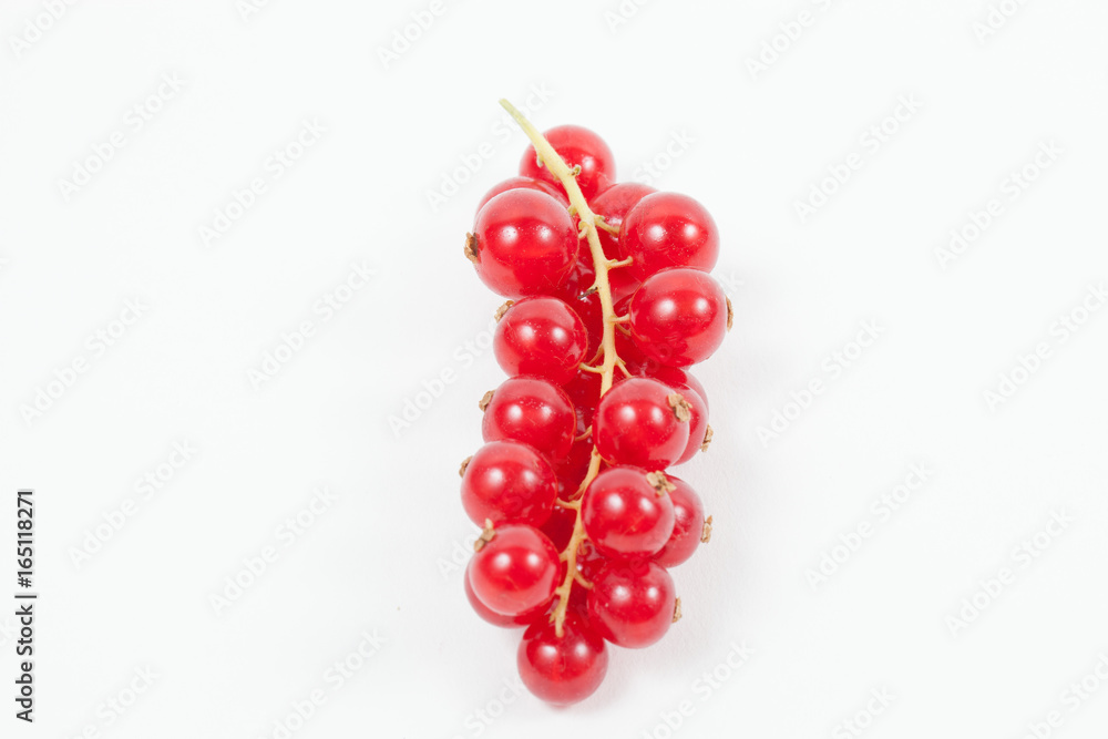 One stem of red currants One stem of red currants