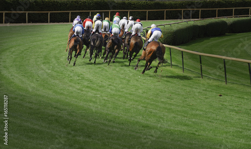 Horse race from behind