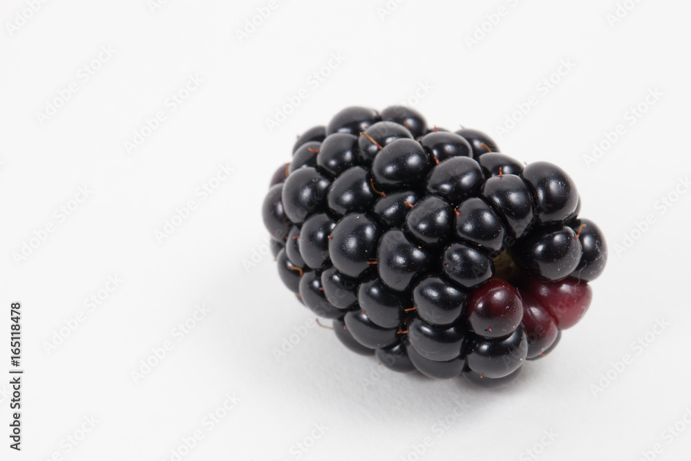 One fresh isolated blackberry One fresh isolated blackberry