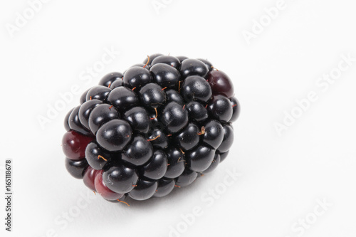 One fresh isolated blackberry