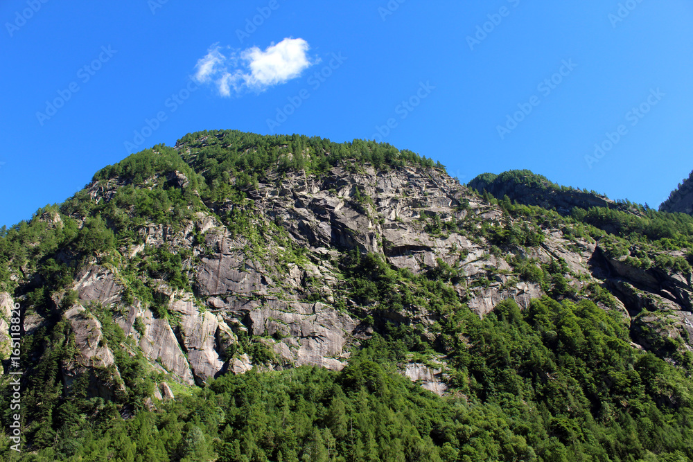 Pine trees covering a granite mountain steep slope