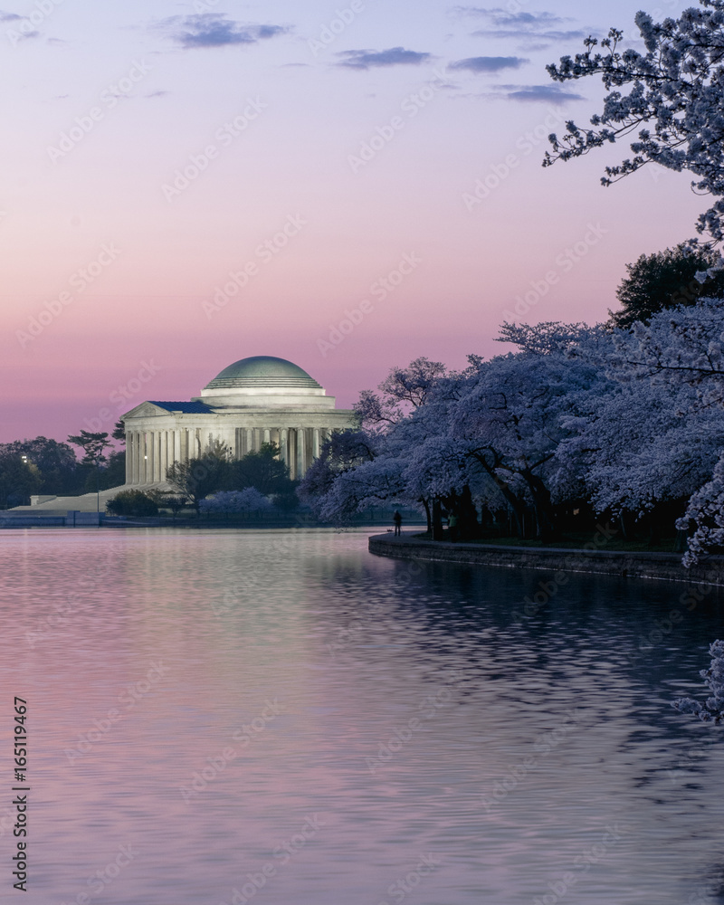Cherry Blossoms and the Jefferson Memorial Cherry Blossoms and the Jefferson Memorial