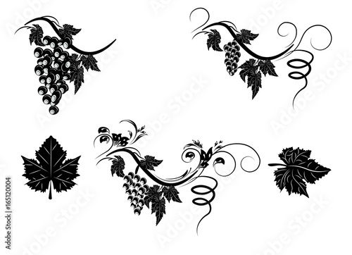 grapes
