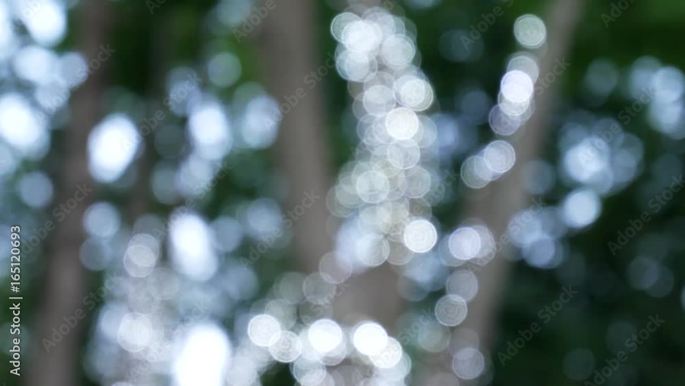 Lights Shines Through Blowing on Wind Green Leaves. Summer Trees Swinging Over Blue Sky. Beautiful Green Nature background. Out Of Focus Video Footage Lights Shines Through Blowing on Wind Green Leaves. Summer Trees Swinging Over Blue Sky. Beautiful Green Nature background. Out Of Focus Video Footage