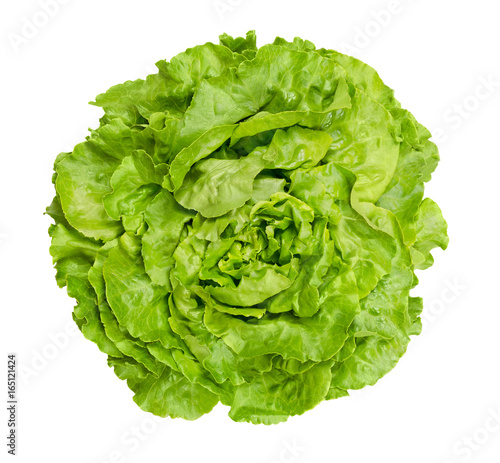 Butterhead lettuce from above. Also Boston or Bibb lettuce. Round lettuce. A green head salad with loose arrangement of leaves. Variety of Lactuca sativa. Closeup photo isolated on white background.