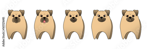 Pugs. . Different emotions. Set.  Isolated, on white background.