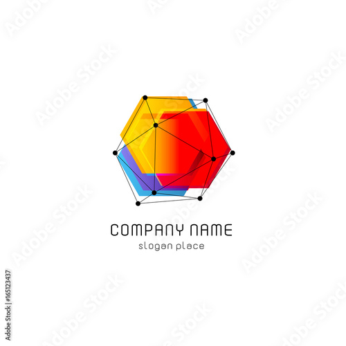 Bright colorful abstract poly construction logotype, unusual innovate design logo template, isolated polygon shape, spiderweb from black lines with dots on corners, illustration on white background