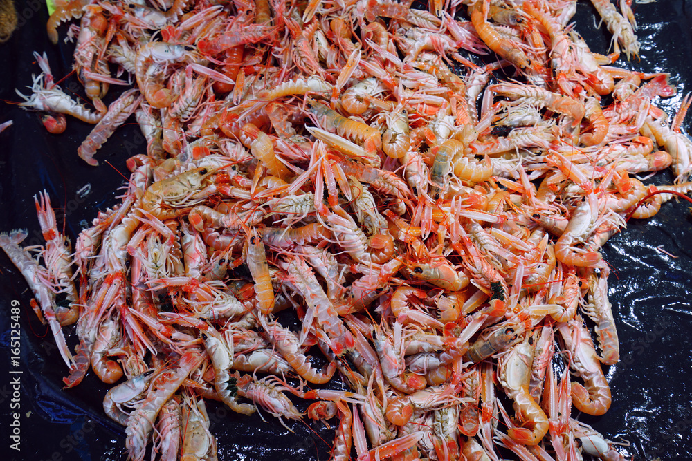 Fresh live langostino at a seafood market in Brittany, France Fresh live langostino at a seafood market in Brittany, France