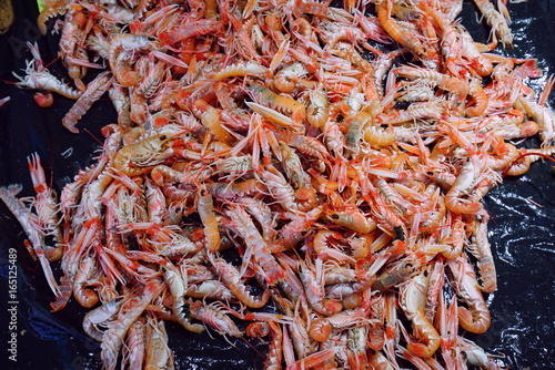 Fresh live langostino at a seafood market in Brittany  France