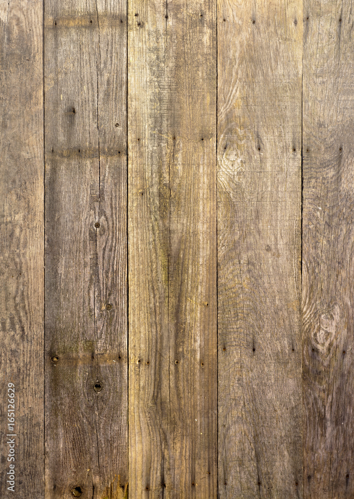 Fototapeta premium Wood Background