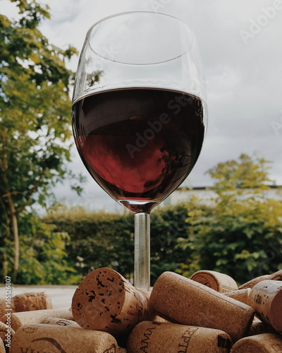 Red wine glass on green background 