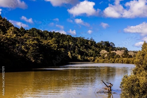 River with bush on the opposing steep bank. Blue cloudy sky