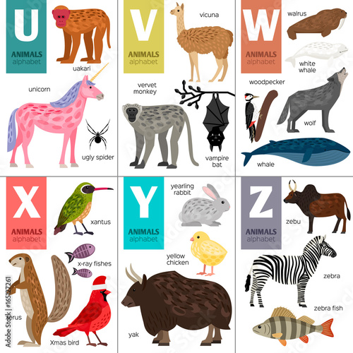 Alphabet with cute animals: unicorn, wolf, bat, monkey, bird photo