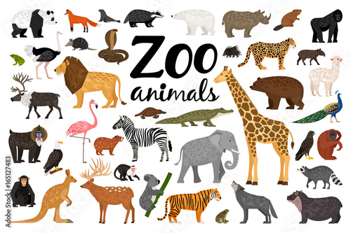 Zoo animals collection photo