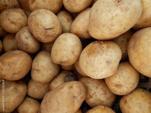 Bunch Of Fresh Potatoes Not Peeled