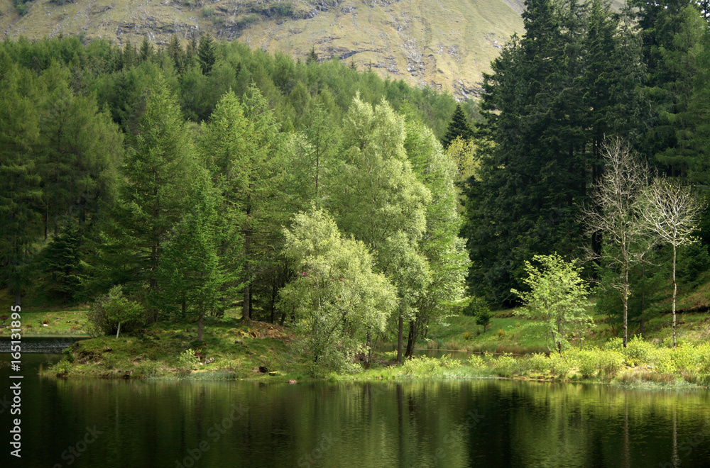 An island in a loch in the Scottish highlands with several trees displaying the different shades of An island in a loch in the Scottish highlands with several trees displaying the different shades of