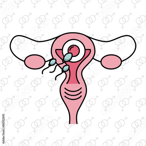 Female fertilization process icon vector illustration design graphic