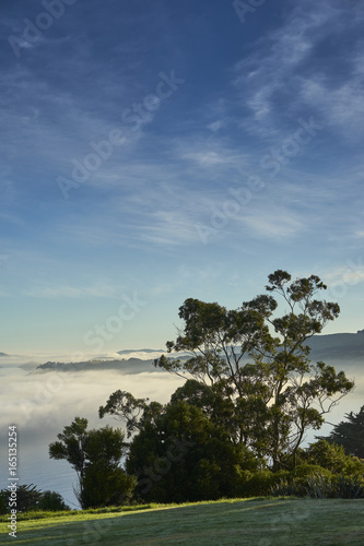 Scenic Landscape Otago Harbor South Island New Zealand with fog and sunshine 