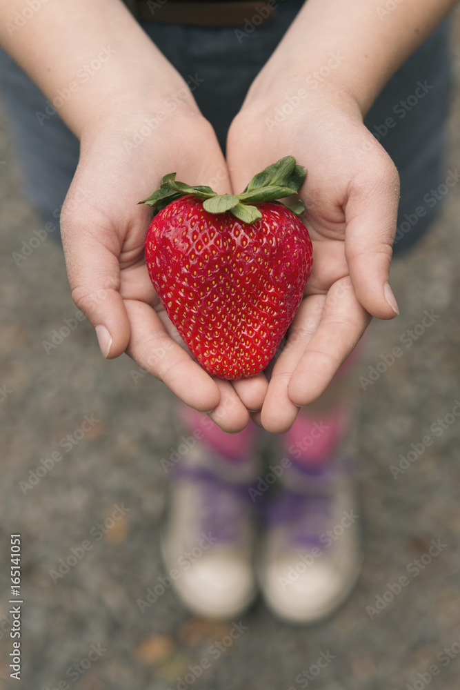 extra large strawberry extra large strawberry