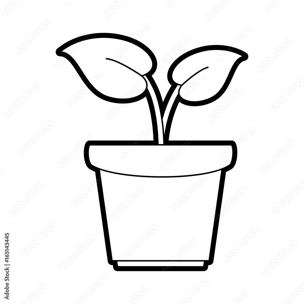 plant vector illustration