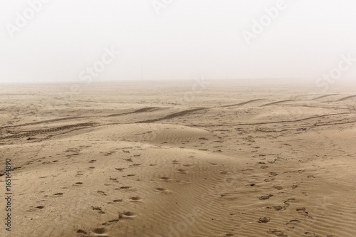 Beach in the Fog