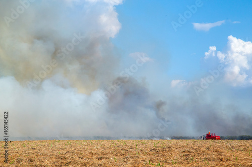 sugar cane plantation and fire © mailsonpignata