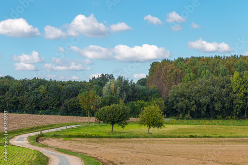 Quadro em tela landscape of agriculture fields in flanders belgium