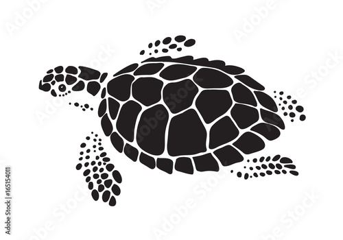 graphic sea turtle, vector