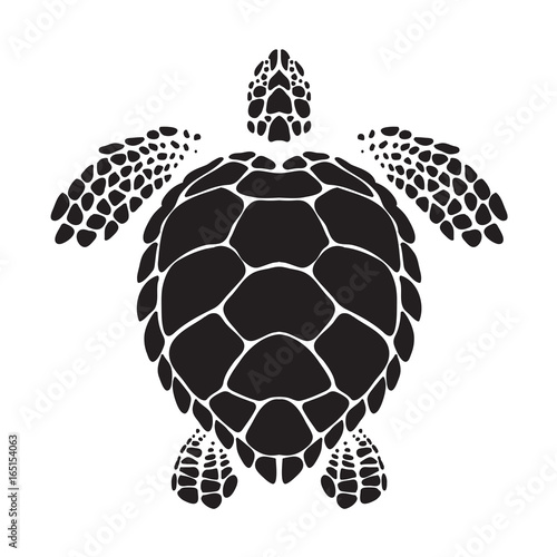 graphic sea turtle, vector